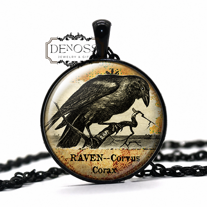 Raven Goth necklace,Halloween Goth jewelry, blackbird jewelry,ornithology,Corvus raven crow