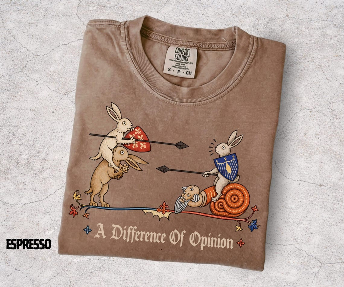 A Difference of Opinion Shirt, Medieval Rabbit Tee, Funny Bunny Knight Shirt, Medieval Snail, Renaissance Humor, Ren Faire Tee - Denoss