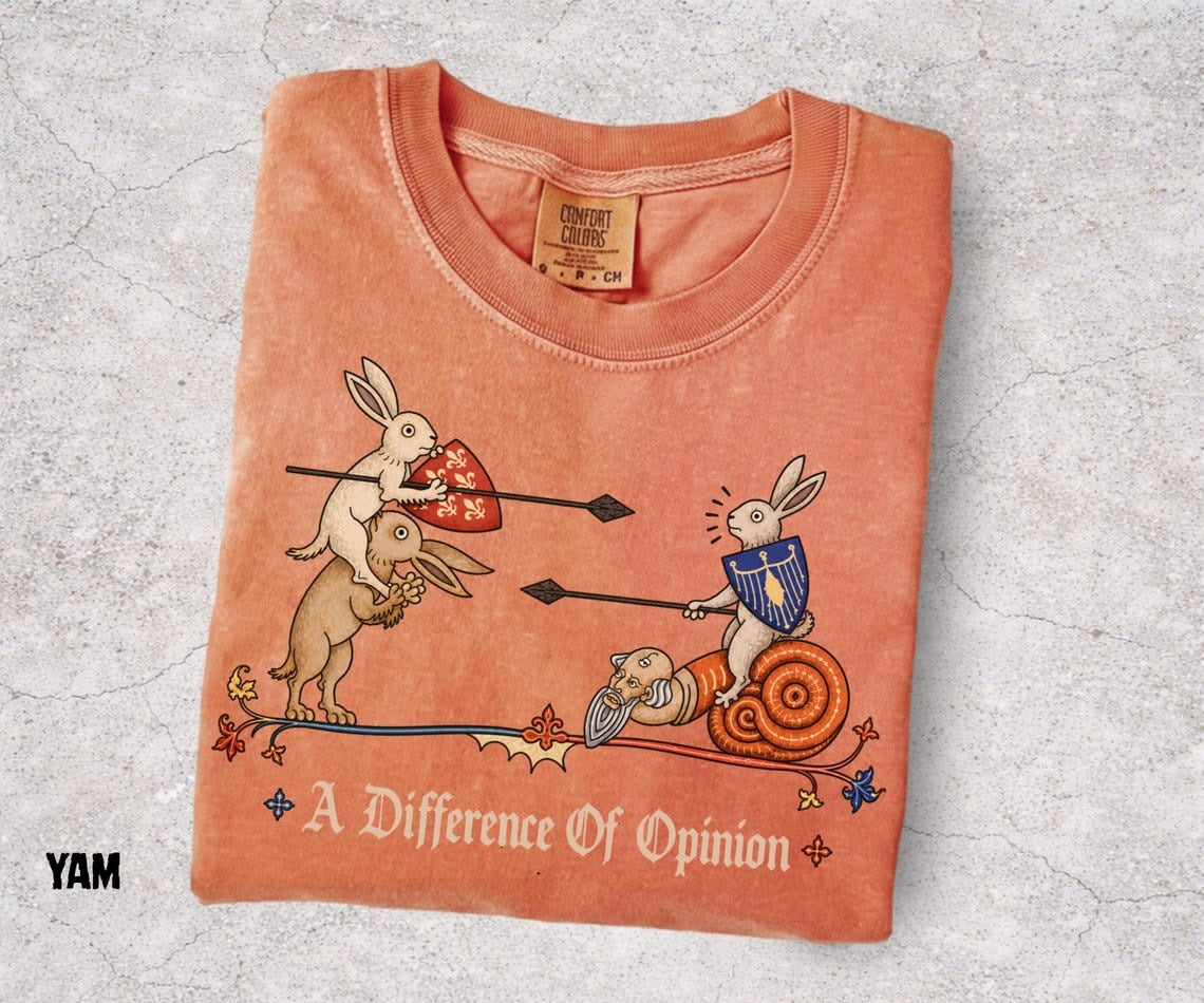 A Difference of Opinion Shirt, Medieval Rabbit Tee, Funny Bunny Knight Shirt, Medieval Snail, Renaissance Humor, Ren Faire Tee - Denoss