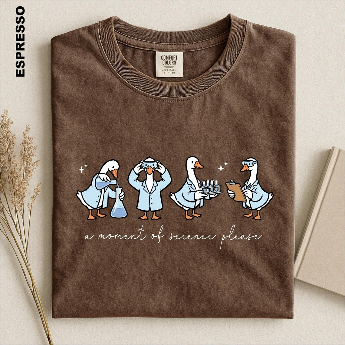 A Moment Of Science Please Shirt, Funny STEM Teacher Tee, Science Teacher T-shirt, Chemistry Lover Gift Top, Laboratory Scientist tshirt