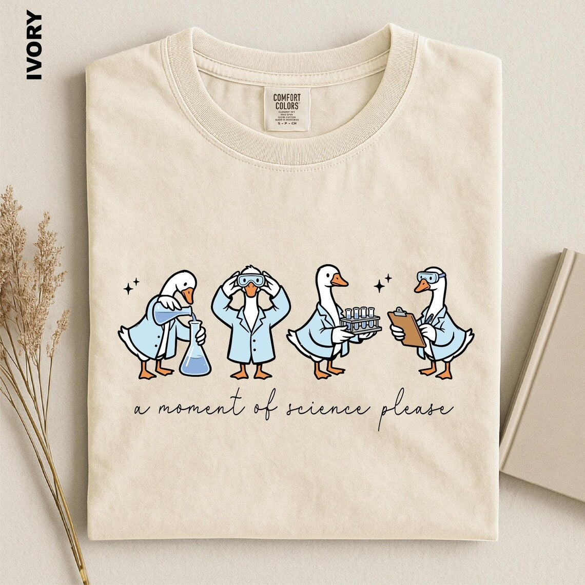 A Moment Of Science Please Shirt, Funny STEM Teacher Tee, Science Teacher T-shirt, Chemistry Lover Gift Top, Laboratory Scientist tshirt