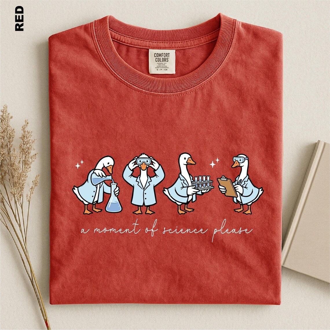 A Moment Of Science Please Shirt, Funny STEM Teacher Tee, Science Teacher T-shirt, Chemistry Lover Gift Top, Laboratory Scientist tshirt