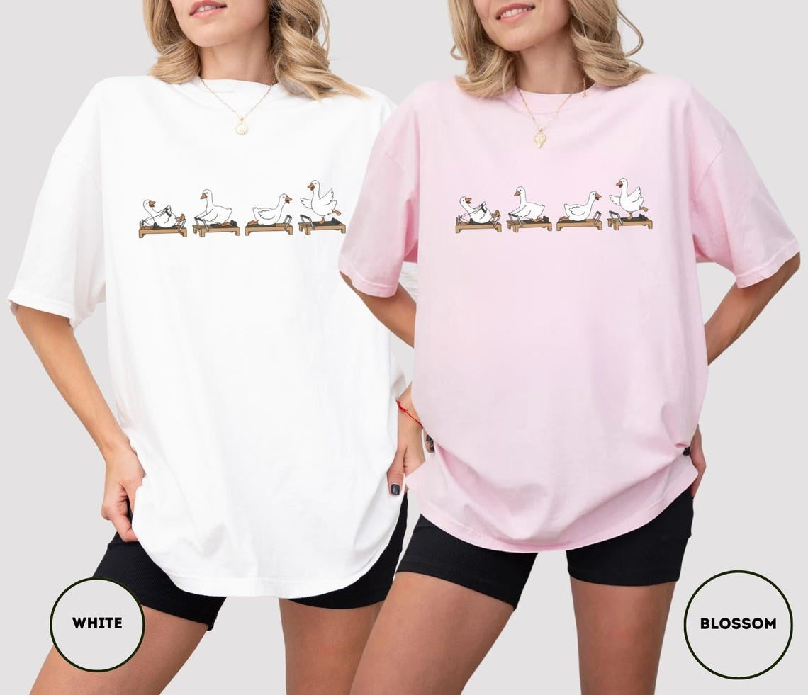 Comfort Colors Pilates Instructor Tee, Funny Goose Reformer Lover Shirt