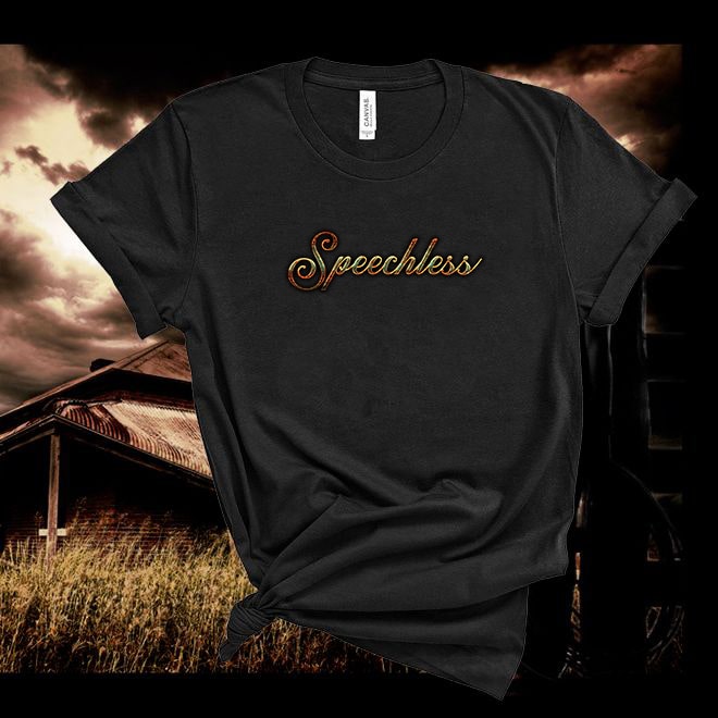 Dan and Shay Tshirt,Speechless Lyric Tshirt,Concert T-Shirt