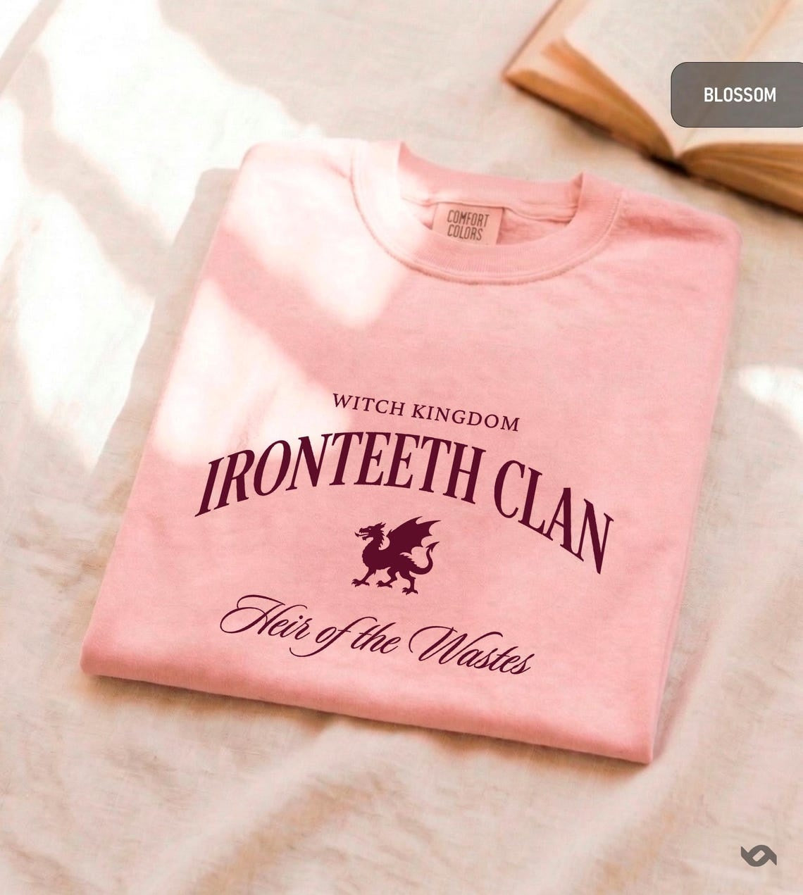 Ironteeth Clan Shirt, Witch Kingdom Tee, Throne of Glass Inspired Shirt, Gift for Reader