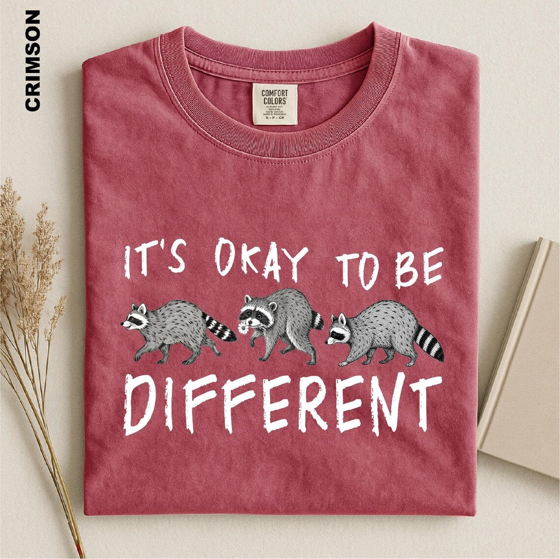 It's Okay To Be Different Shirt, Raccoon Trio Graphic Tee, Autism Awareness Animal T-shirt, Jimothy Neurodiversity Sweater, Inclusion Gift