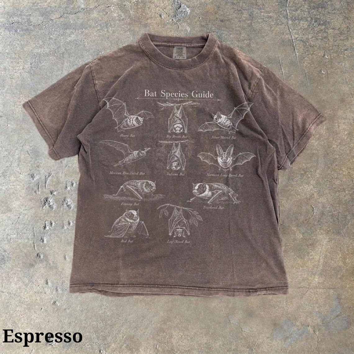 Vintage Bat Shirt, Retro Science Illustration Goth Nature Lover Biology, Halloween 90s Teacher Gift