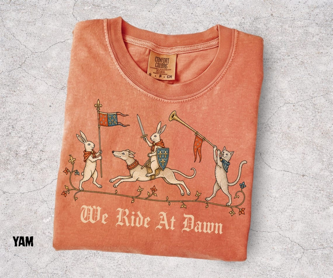 We Ride At Dawn Shirt, Medieval Rabbit Tee, Knight Bunny Shirt, Funny Medieval Cat Tee, Renaissance Humor, Ren Faire Shirt, Comfort Colors - Denoss