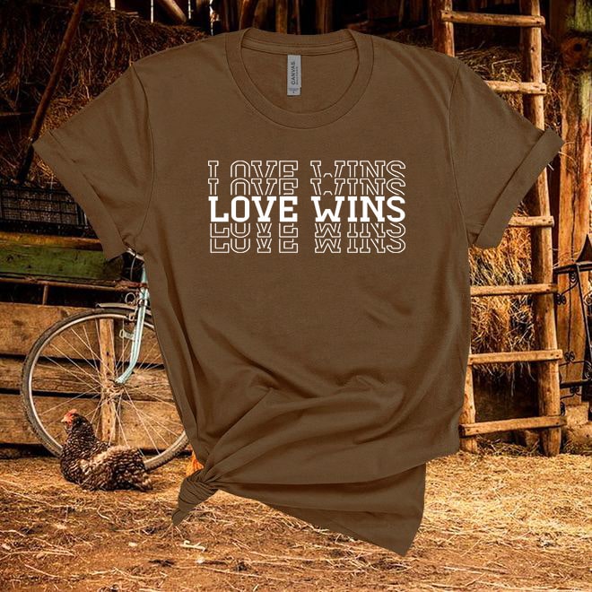 Love Wins T shirt - Denoss